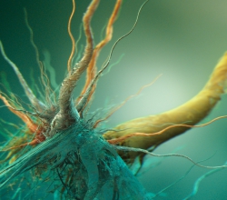 МАОУ СОШ № 68 с углубленным изучением отдельных предметов г. Екатеринбург